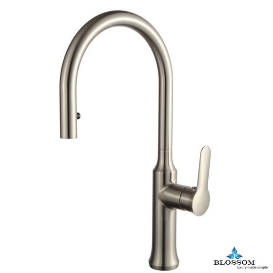 Blossom Pull Down Single Handle Kitchen Faucet