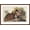 Brown Frame, variant on Art.com Ruffed Grouse Art Print by John James Audubon, 18" x 12"