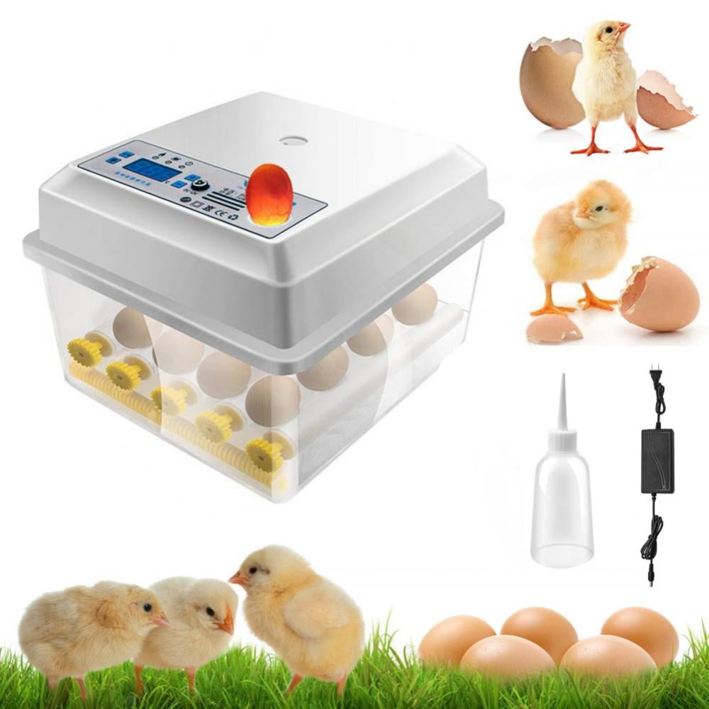 HHD Automatic Digital 7 Egg Incubator For Duck Bird Hatcher Chicken Egg 