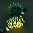 thumbnail image 2 of Luces navideñas navideñas LED de color blanco cálido de 33 pies, 100 unidades, 2 of 7