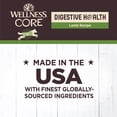 thumbnail image 4 of Wellness CORE Digestive Health Pate Adult Canned Wet Dog Food, Grain Free, Sensitive Stomach, Natural, Lamb Recipe, 13 oz, Pack of 12 Cans, 4 of 7