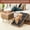 COFFEE, variant on Becare Pet 2 in 1Dog Ramp for Bed & Couch, Foldable Wooden Pet Stairs 22.83 inches High for Older and Injured Dogs, Split Ottoman&Step Design