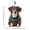 LA3 Standard Model L, variant on Artisan Wooden Jigsaw: Whimsical Dog Silhouette with Irregular Pieces, High-Density Basswood Mosaic Art for Adults, Precision Laser-Cut Desktop Decor, Small