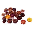 thumbnail image 1 of Flores Secas Prensadas 20 Secado Natural para Las Tarjetas arte DIY de La Joyería de, 1 of 8