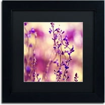 Trademark Fine Art "Summer Melodies" Canvas Art by Beata Czyzowska Young Black Matte, Black Frame