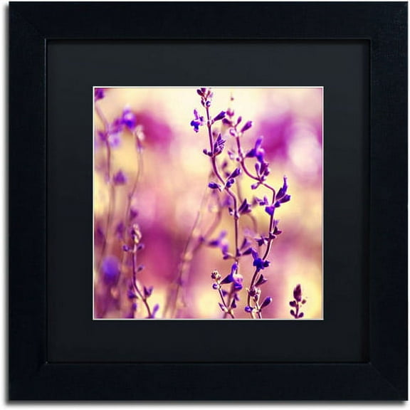 Trademark Fine Art "Summer Melodies" Canvas Art by Beata Czyzowska Young Black Matte, Black Frame