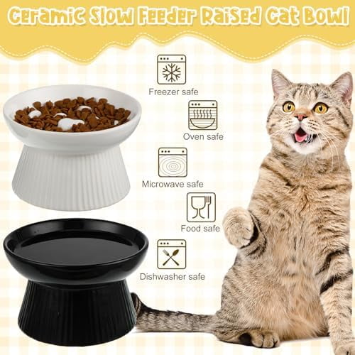 2 Pcs Raised Cat Slow Feeder Bowl Ceramic Elevated Cat Dog Food Bowl No Spill High Edge for Dry Wet Food and Water Easy to Clean, Dishwasher Safe (Black,White)