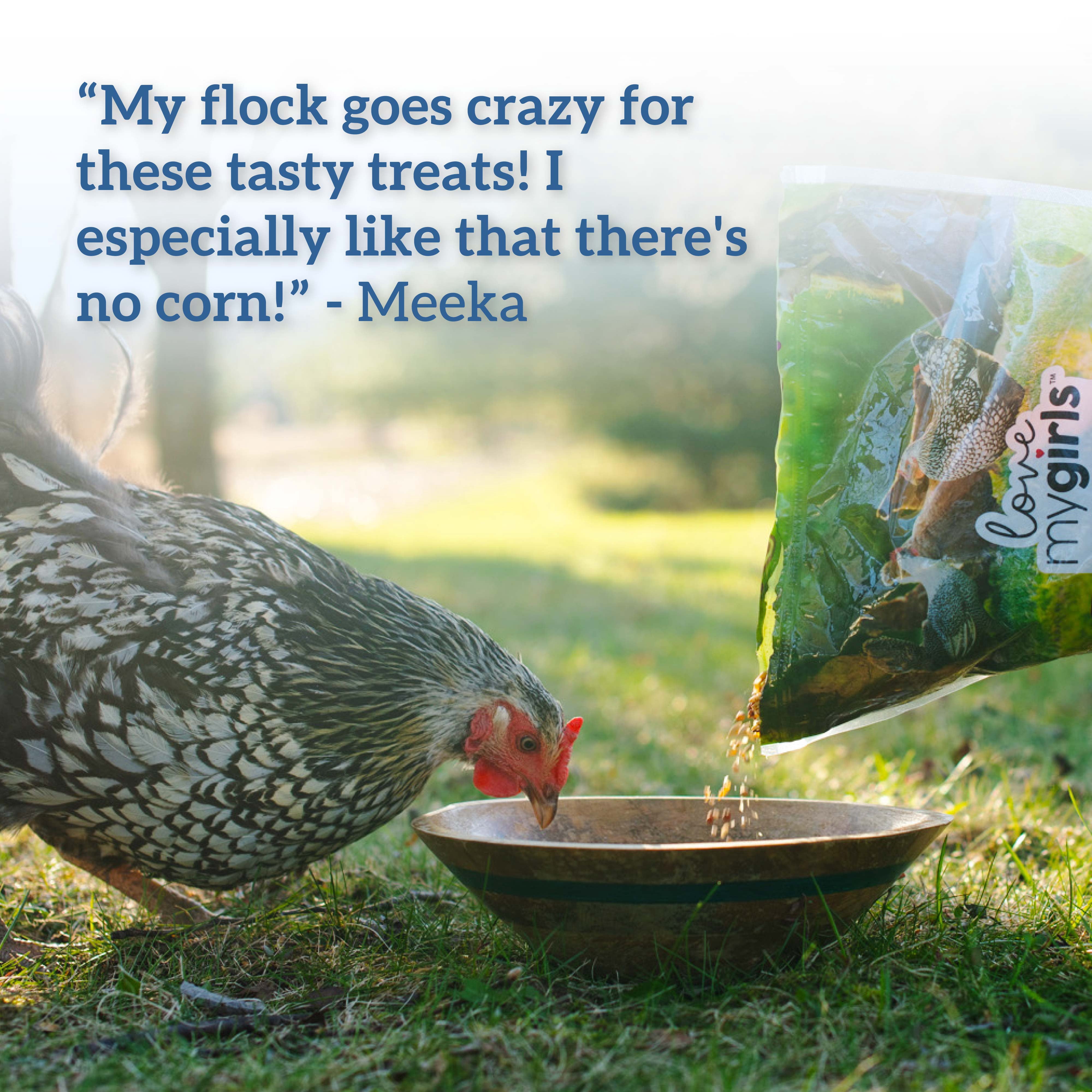 (2 pack) Love My Girls Flax & Worms Gourmet Multi-Grain Chicken Treats, 5 lb. Bag, 1-Pack