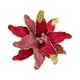 thumbnail image 1 of Árbol de Navidad Decoraciones Paño Simulación Flores 28 cm Rojo Rosa Blanco Azul Verde, Decoraciones de Navidad para el Regalo de Fiesta de Boda Del Hogar, 1 of 7