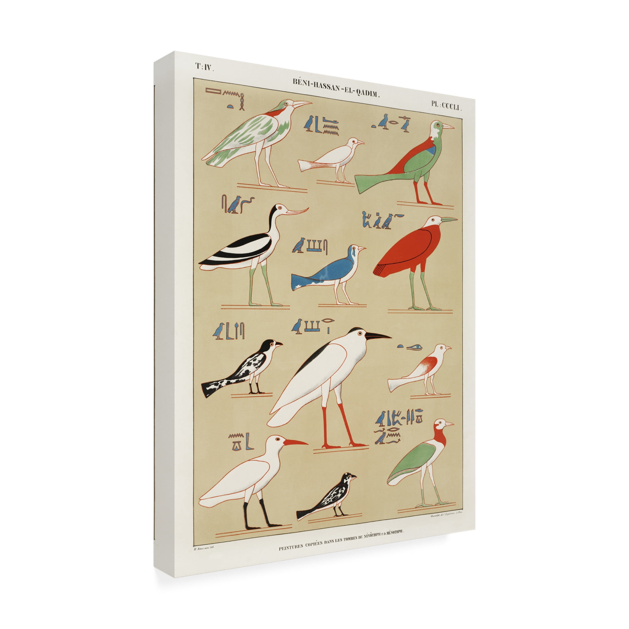 Trademark Fine Art Jean Francois Champollion  Egyptian Bird Charts II Canvas Wall Art