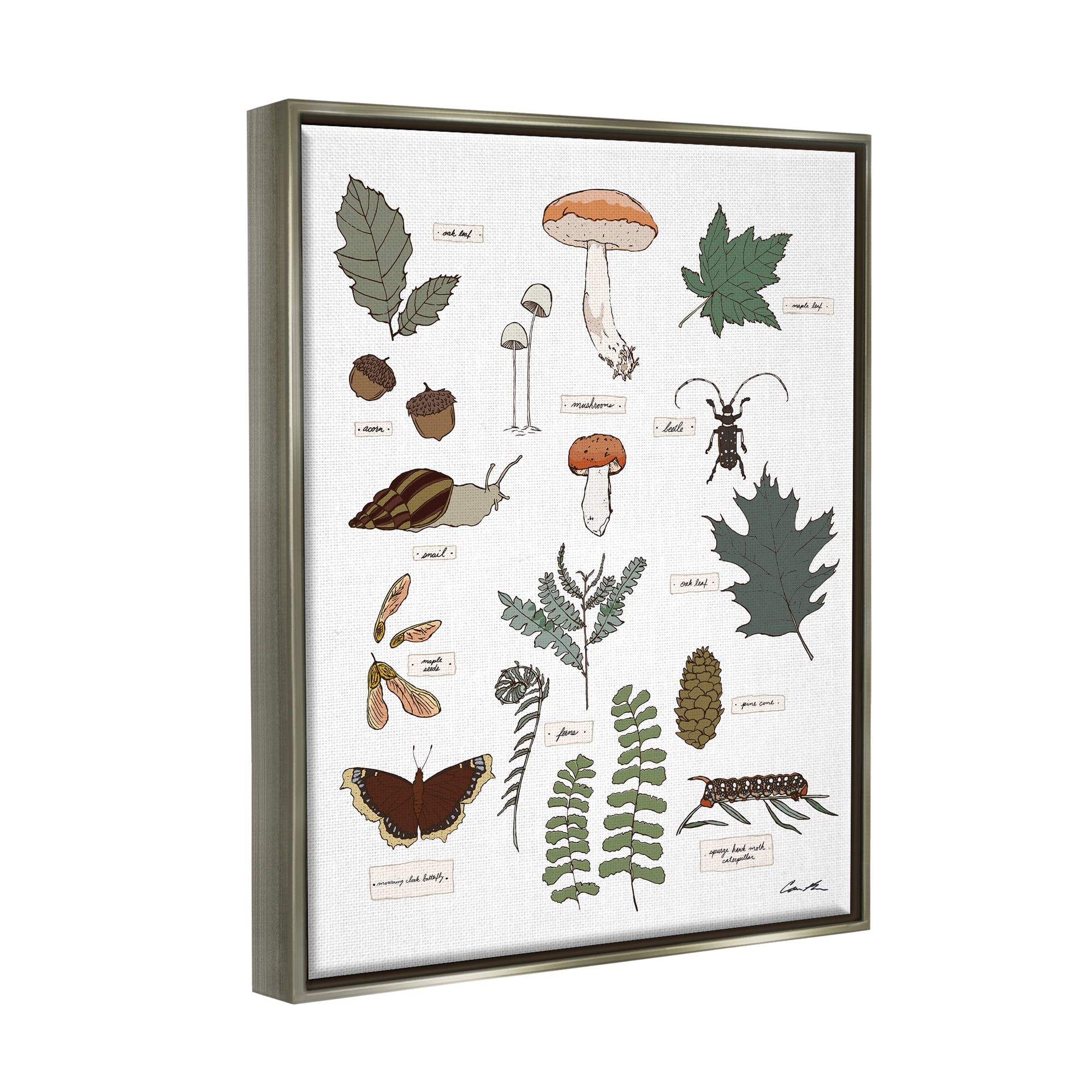 Stupell Industries Woodland Nature Studies Botanical & Floral Painting Gray Floater Framed Art Print Wall Art, 25 x 31