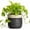 Black, variant on Ordivic 6 inch Black Ceramic Planter with Drainage Hole & Plug, Round Flower Pot for Succulents & Cactus, Indoor Outdoor for Home Office Desk, Housewarming Gift