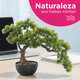 thumbnail image 5 of Bonsai Artificial 50cm Planta de Decoración, 5 of 6
