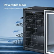 Auseo 150 Can Beverage Refrigerator Cooler with Stainless Steel Frame,Drink Fridge with Glass Door & Handle for Home