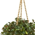 thumbnail image 4 of Nearly Natural 30" Plastic Mini Melon Artificial Plant in Hanging Basket UV Resistant, Green, 4 of 4