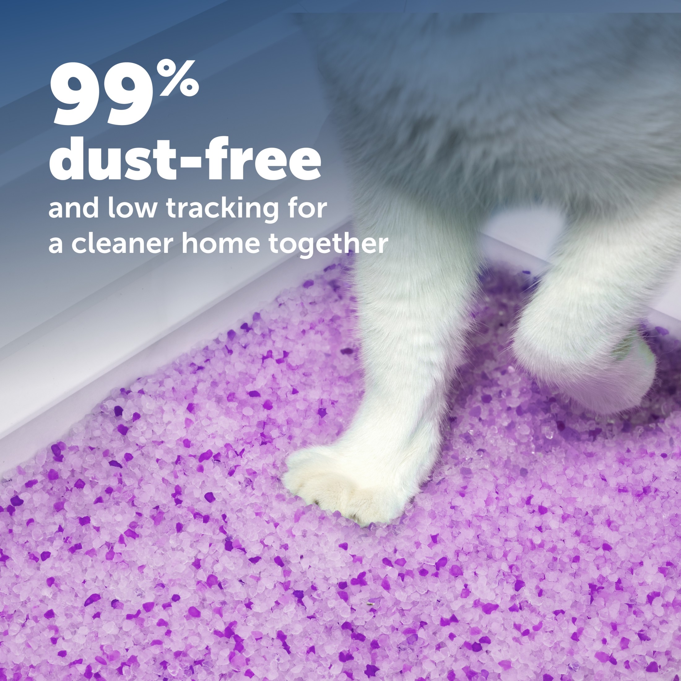 PetSafe ScoopFree Crystal Litter Trays, 3-Pack, Lavender photo 4