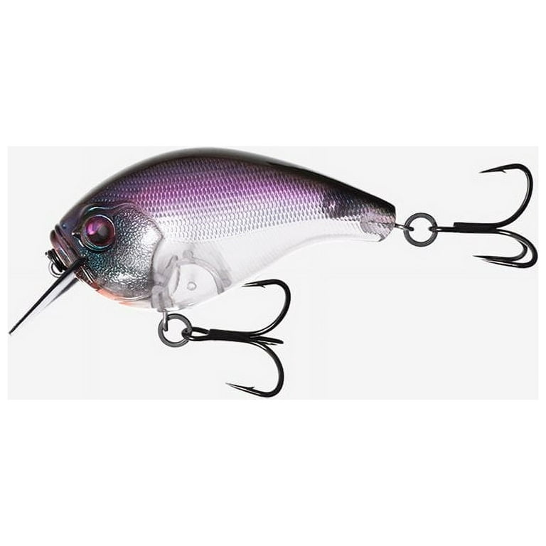 13 Fishing Scamp Square Bill Crankbait 1/2Oz Airfoil Carbon B Sports and  Outdoor E-SC15-PN 