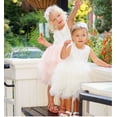 thumbnail image 3 of Robe en Dentelle pour Tout-Petits Filles Bébé Fête Mariage Demoiselle d'Honneur Tutu Tenues 1-5 Ans, 3 of 4