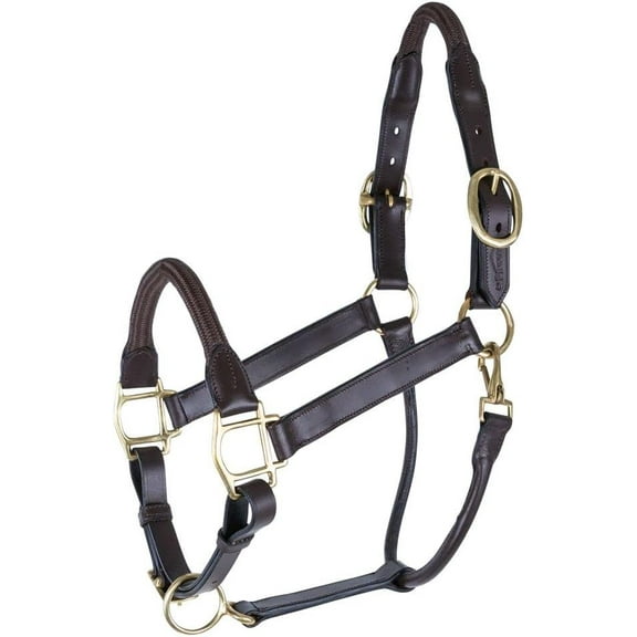 Schneiders Premier Leather and Rope Control Halter for Horses | Superior Horse Control | Enhanced with Rope Pressure Points | Double Ply Leather | Ideal for Young and Hot Horses