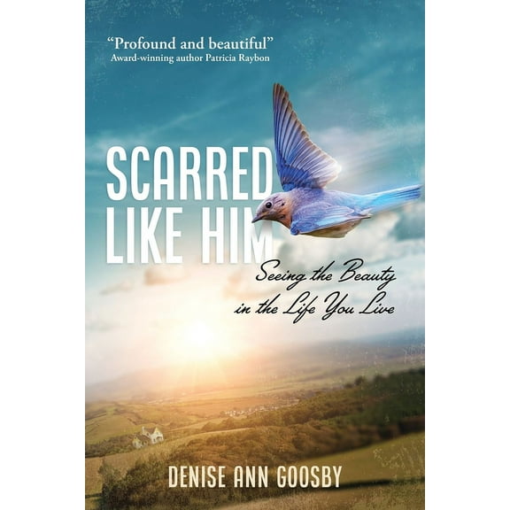 Scarred Like Him, (Paperback)