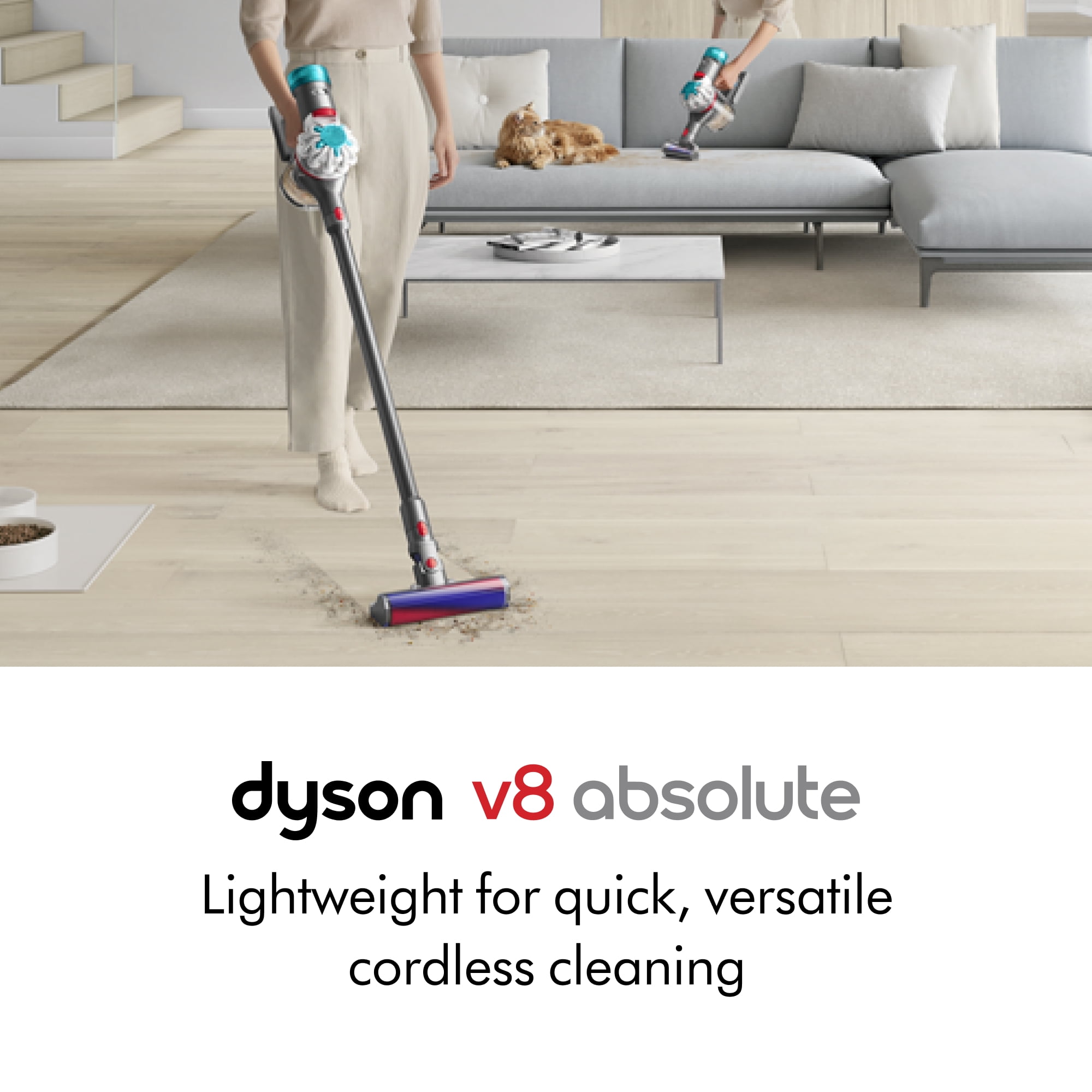 Absolute その一 dyson v8 extr 2 仕様
