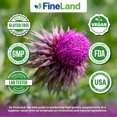 thumbnail image 7 of Fineland Vitamins Milk Thistle Silymarin Extract Liver Support Capsules 120 Count 3 oz, 7 of 7