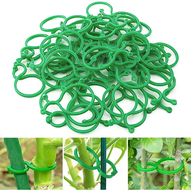 200 Pcs Plant Support Clips & Trellis Kit – For Tomatoes, Climbing Vines, Vegetable Gardens (Grafting & Growth Aids)