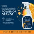 thumbnail image 2 of Orange Odor Eliminator | Pet Odor Deodorizer for Strong Odor | Enzyme Stain Cleaner for Cats, Dogs, and Pets | Great for Carpets, Furniture, Dog Kennels, and More (32 Fl Oz), 2 of 5