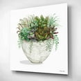 thumbnail image 2 of Epic Art 'White Wood Succulent III' by Cindy Jacobs, Acrylic Glass Wall Art, 12"x12", 2 of 8