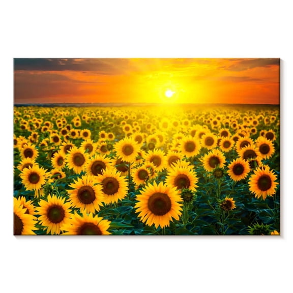 Elephant Stock Sunset With Sunflowers Wall Art - Horizontal Canvas Wall Art - Hallway Wall Decor - Nature Canvas - Orange And Yellow Decor - 12" x 8"