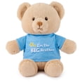 thumbnail image 1 of Oso de peluche GUND «Soy el Gran Hermano» 30 cm 100% reciclado, 1 of 9
