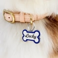 thumbnail image 7 of Personalized Engraved Dog Tag Bone Shaped Dog Name Tags for Dogs Stainless Steel Pet ID Tags Dog Collar Accessories, 7 of 7