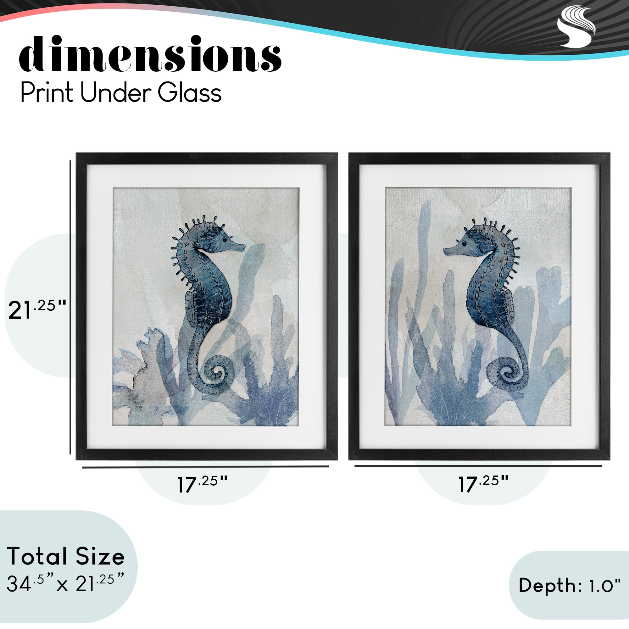 Stupell Industries Impressions of Seahorses 2 Piece Black Framed Print Under Glass Set, design by Susan Jill
