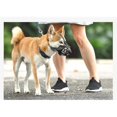 thumbnail image 4 of Museau pour Chien Panier Respirant Museau _jiue, 4 of 5