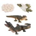 thumbnail image 2 of Cycle Alligator Growth Figures Education Toys, 2 of 9