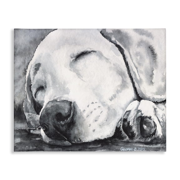 Stupell Industries Traditional Sleepy Dog Pet Animal Watercolor Canvas Art, 30 x 24, by George Dyachenko