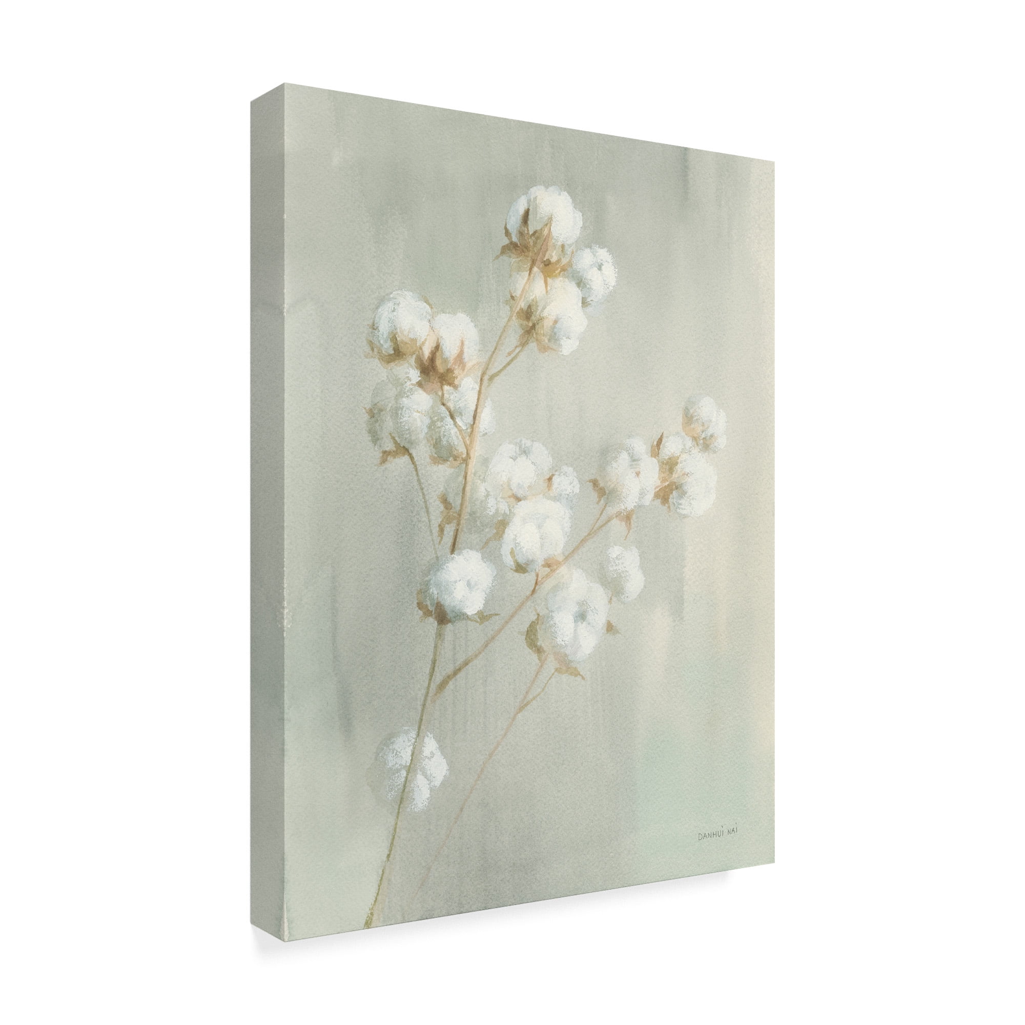 Trademark Fine Art 'Summer Harvest I' Canvas Art by Danhui Nai