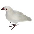 thumbnail image 2 of EIMELI Artificial Decor Taxidermy #4, 2 of 8