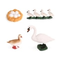 thumbnail image 1 of Tholdsy 1 Juego de modelos de ciclo de vida de cisnes, modelo de crecimiento, Kit de utilería de cisnes para la escuela en casa Juguetes Educativos, 1 of 6