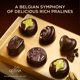 thumbnail image 5 of Caja de Regalo de Chocolate Godiva Gold Dark 15 Piezas Kosher, 5 of 6