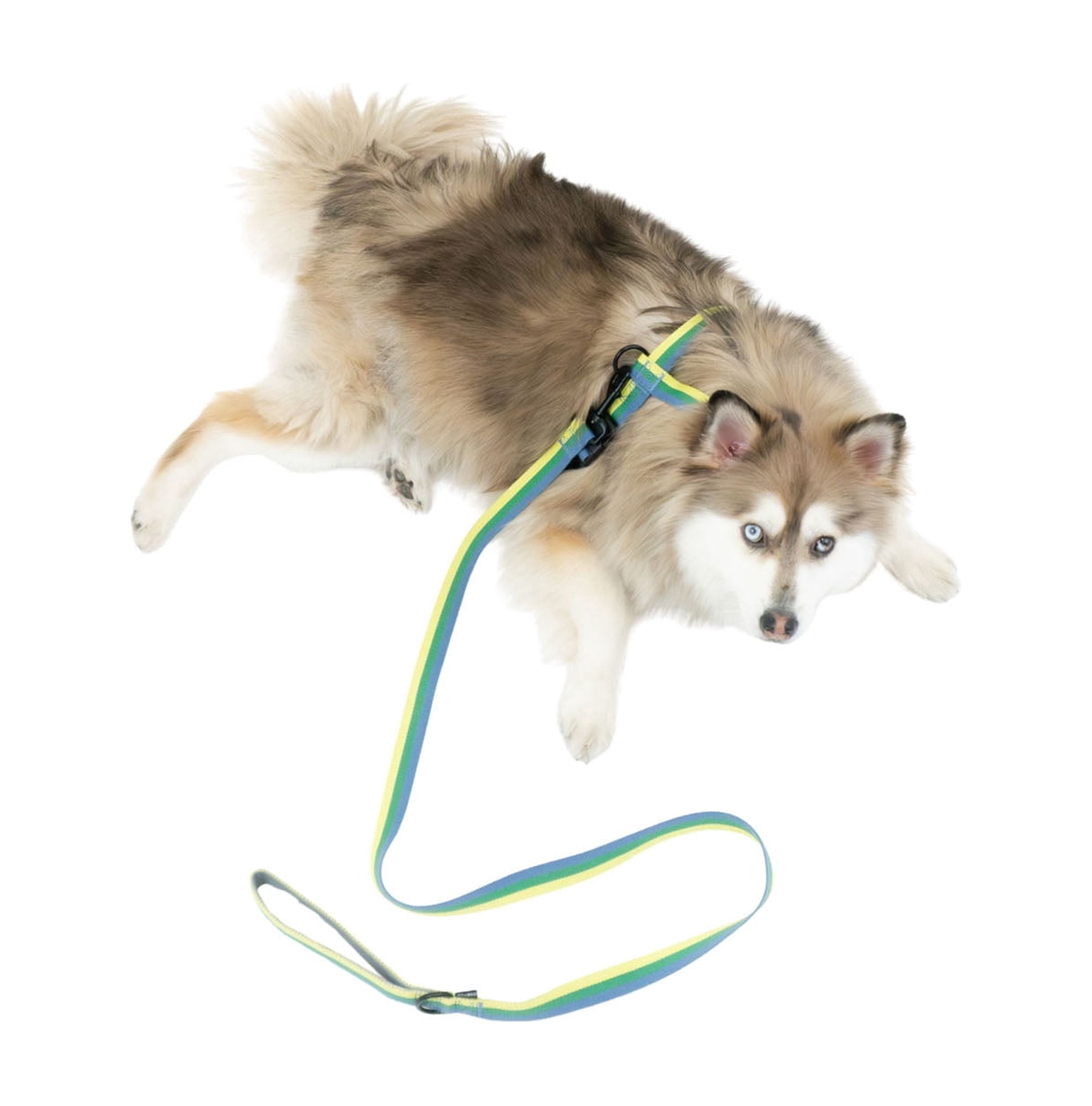 One Paw, 3-Pack Dog Harness and Leash Set with Poop Bag Holder, Multiple Sizes, Blue, For Dogs