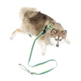 thumbnail image 1 of One Paw, 3-Pack Dog Harness and Leash Set with Poop Bag Holder, Multiple Sizes, Blue, For Dogs, 1 of 6