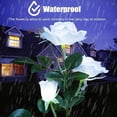 thumbnail image 4 of OUSITAID Solar Decorative Stake Rose Flower Lights for Yard Outdoor Porch Garden Memorial Cemetery Backyard Decor Flower Bed Decoration (2 Pack,White), 4 of 7