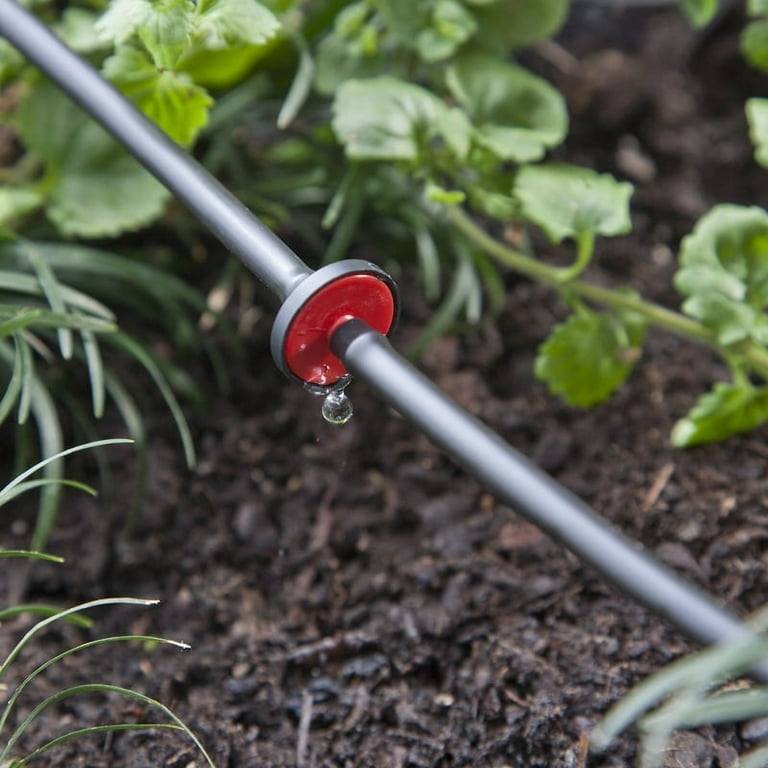 Raindrip Spot Drip Irrigation Mini In-Line 0.5 gph Raindrip Spot Drip Irrigation Mini In-Line 0.5 gph
