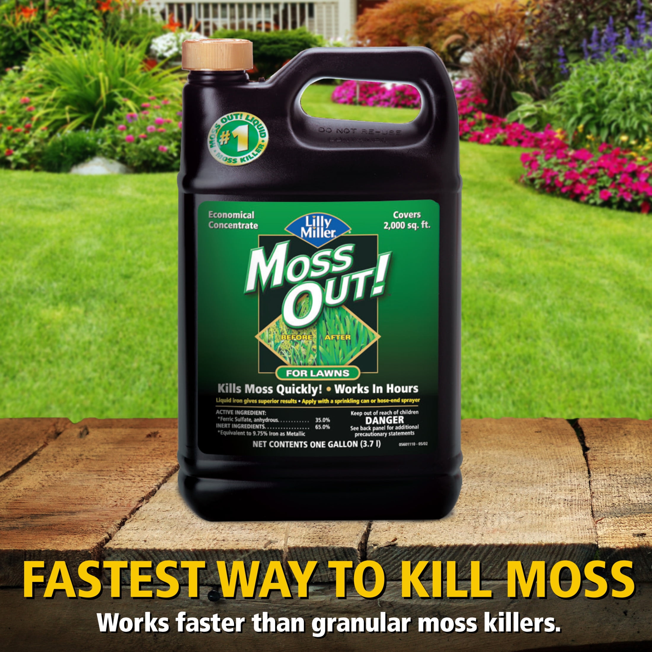 (2 pack) Lilly Miller Moss Out! Lawn Moss Killer Concentrate Herbicide, 1 Gallon