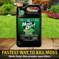 thumbnail image 5 of Lilly Miller Moss Out! Lawn Moss Killer Concentrate Herbicide, 1 Gallon, 5 of 12