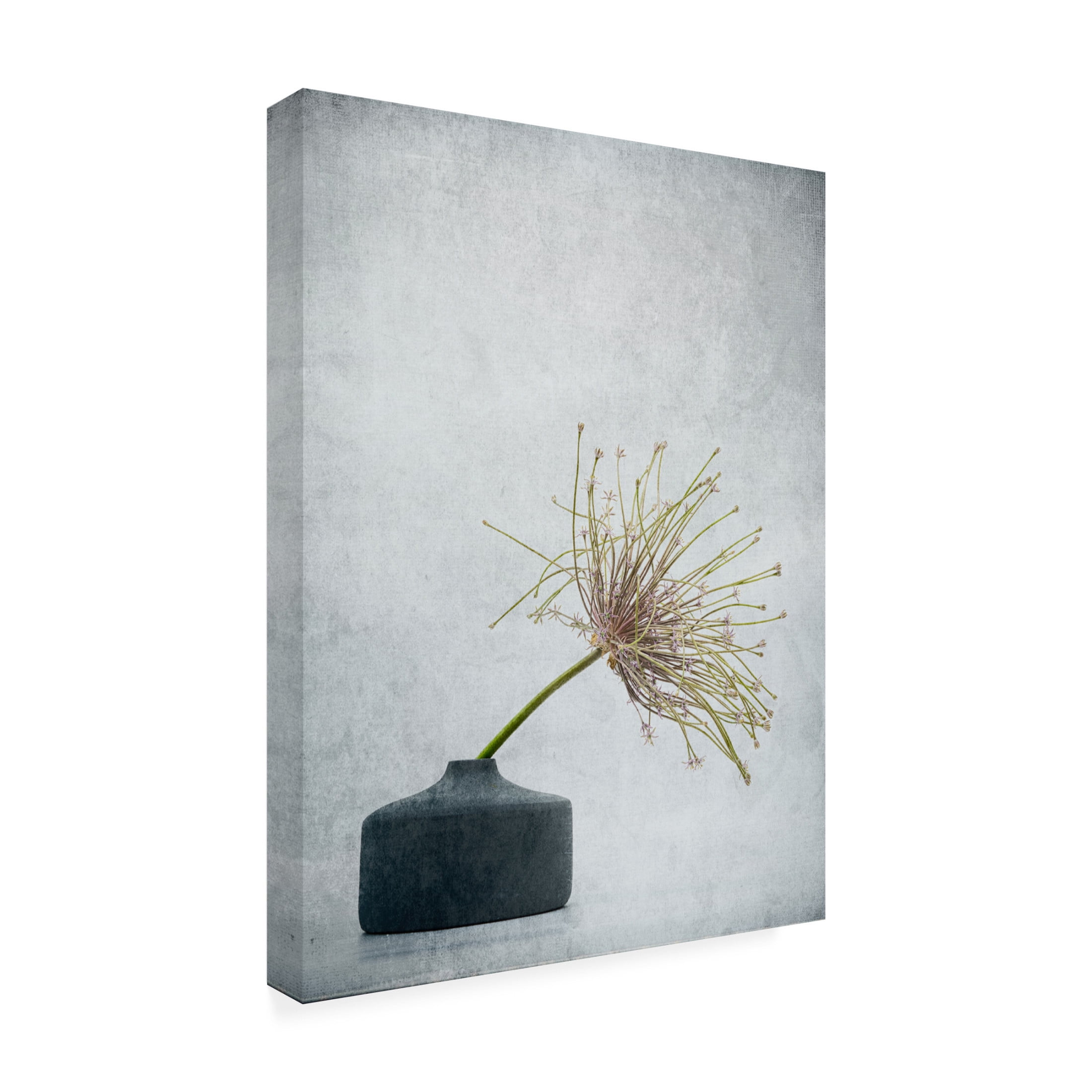 Trademark Fine Art Saskia Dingemans Simple Comme Bonjour Canvas Wall Art