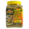 Zoo Med Bearded Dragon Food – Juvenile Formula