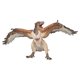 thumbnail image 1 of Papo El Dinosaurio Figura Archaeopteryx Papo 797162172750, 1 of 1