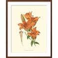 thumbnail image 2 of Art.com Striking Lilies II Art Print by Edward Step, Brown Frame Wall Art, 23" x 29", 2 of 5